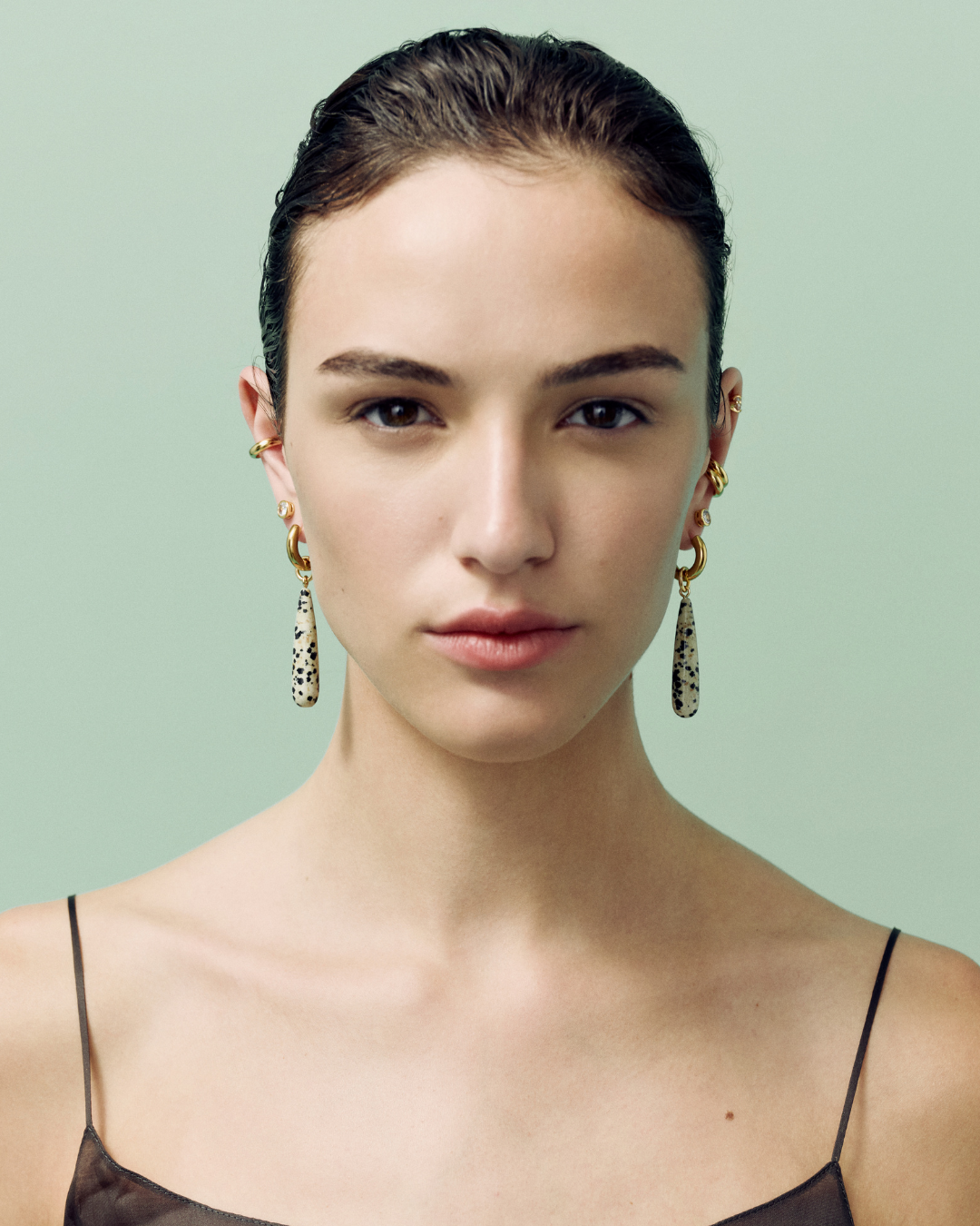 Dalmatian Jasper Teardrop Earrings