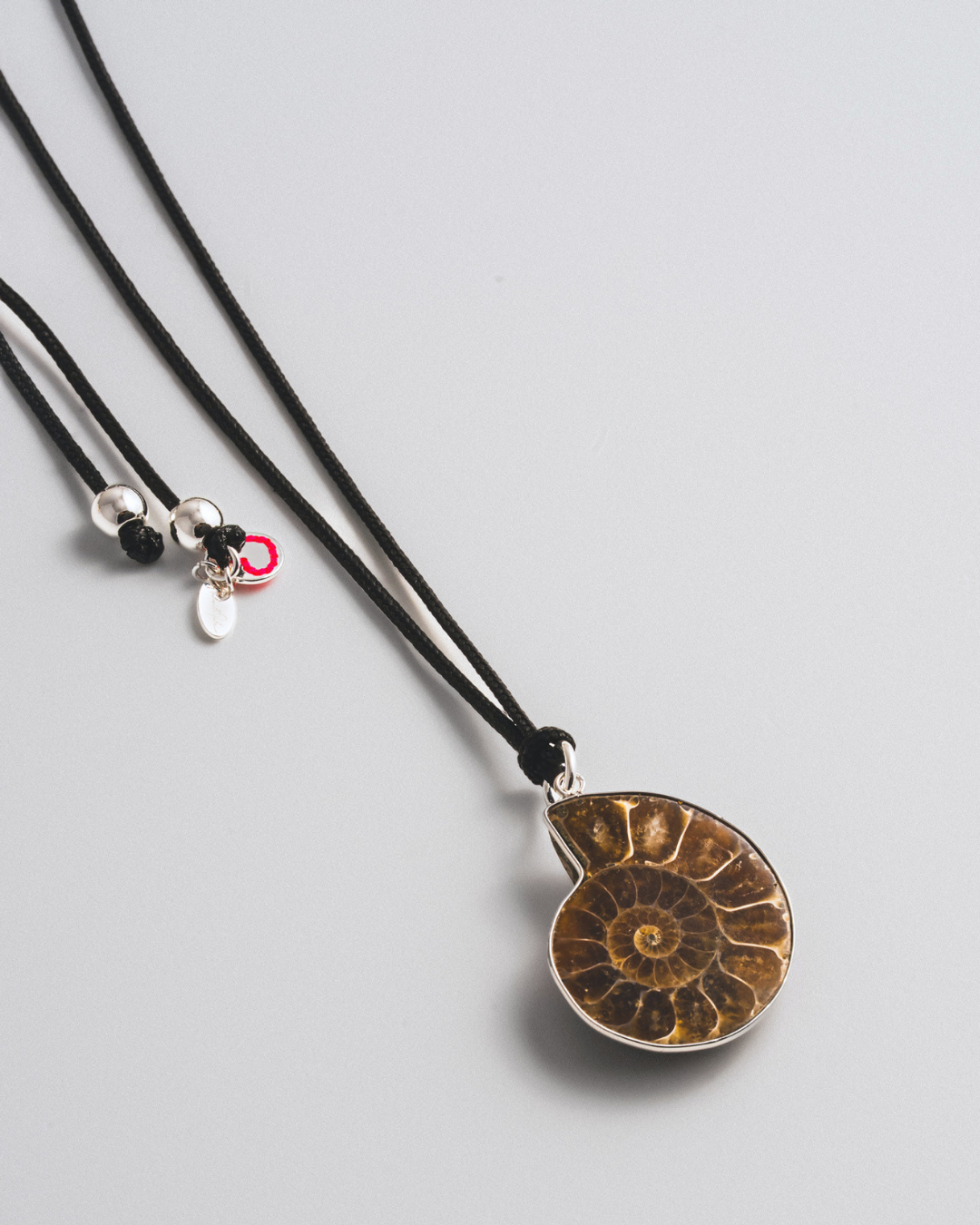 Ammonite Necklace