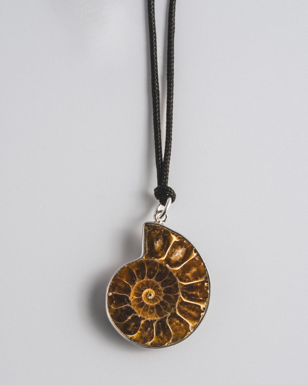 Ammonite Necklace