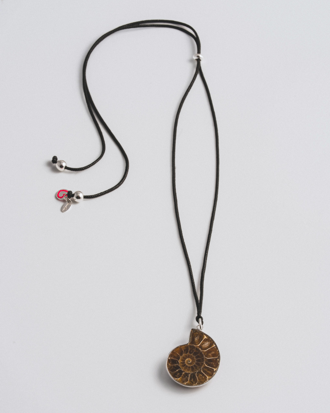 Ammonite Necklace
