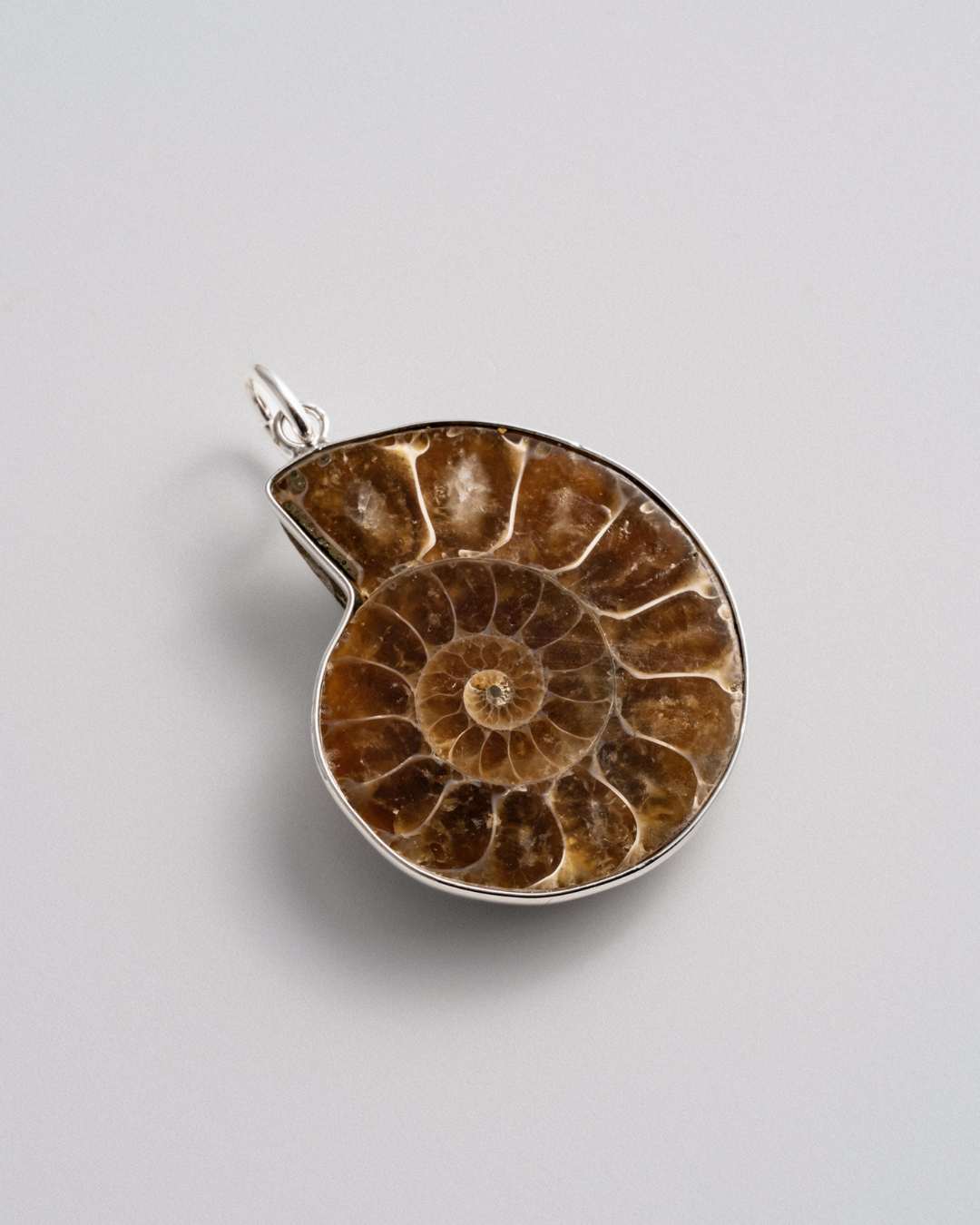 Ammonite Charm