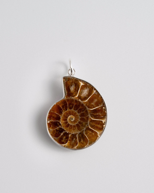 Ammonite Charm