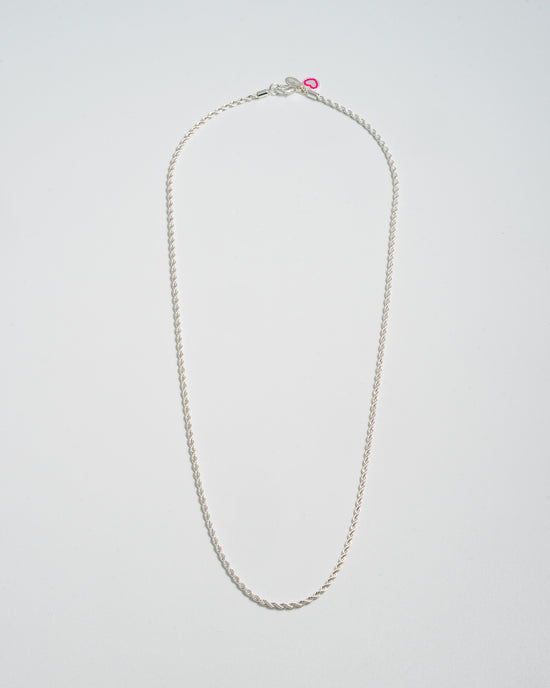 Load image into Gallery viewer, Long Mini Roped In Necklace - Silver
