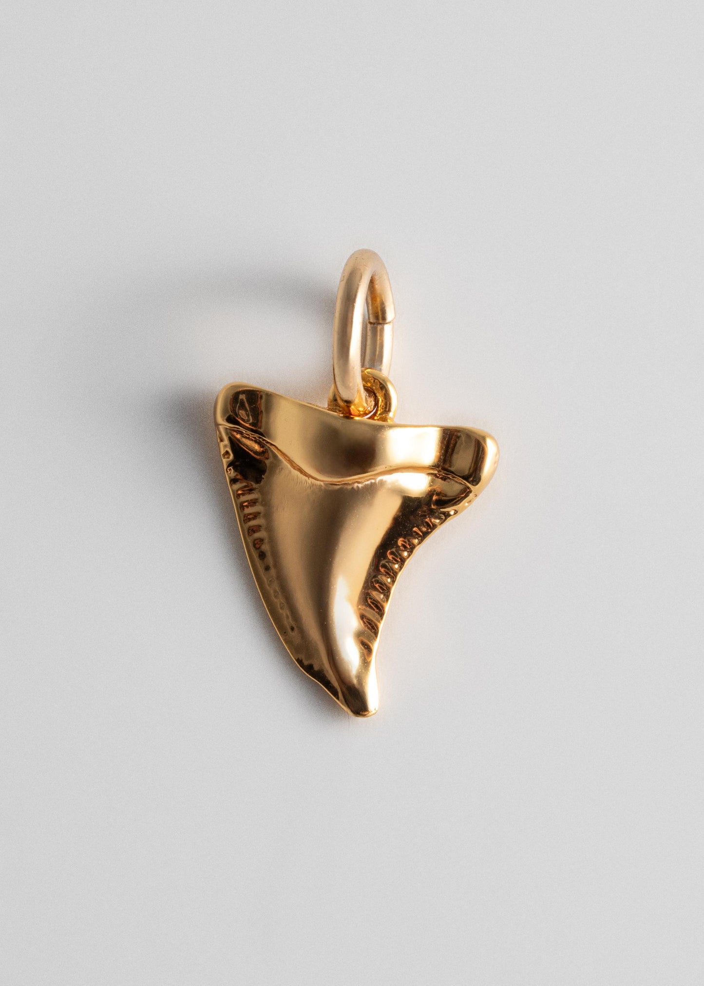 Shark Tooth Charm - Gold